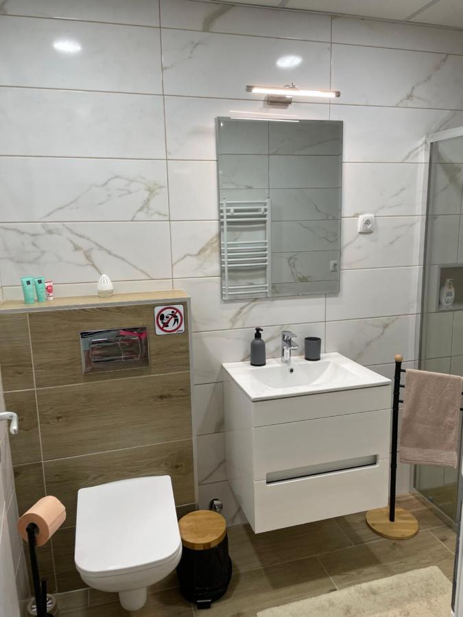 ParaćinDream House公寓 外观 照片